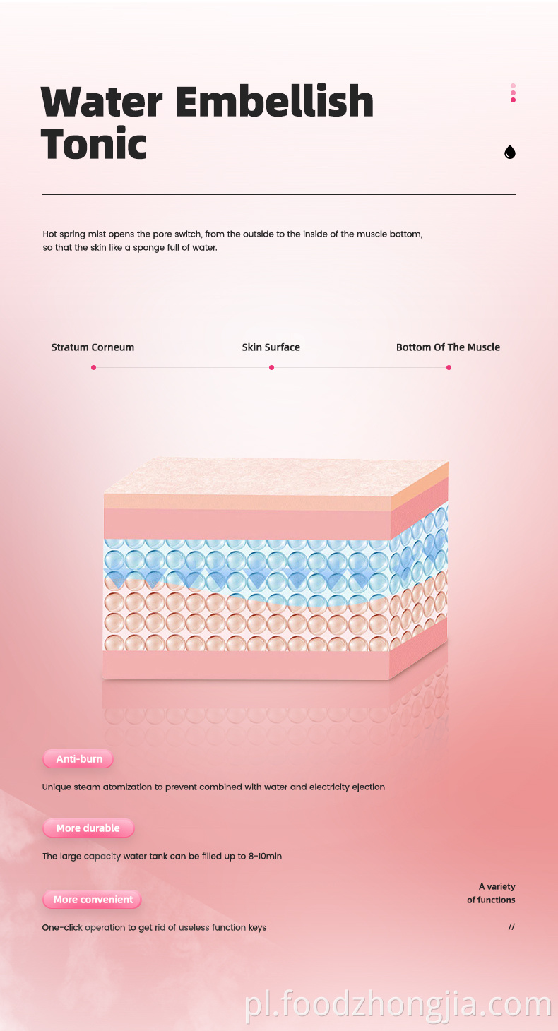 2021 Specjalna gorąca sprzedaż 100 ml duży zbiornik na wodę przenośny ręczny parowiec na twarz